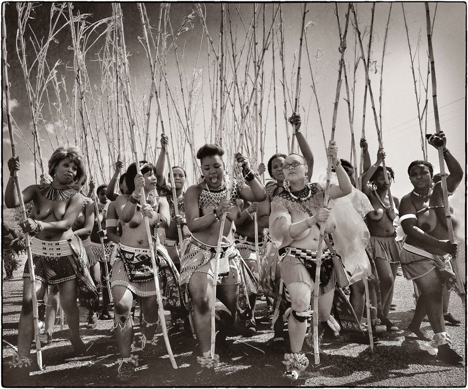 Royal Reed Dance - Photo Alain Besnard