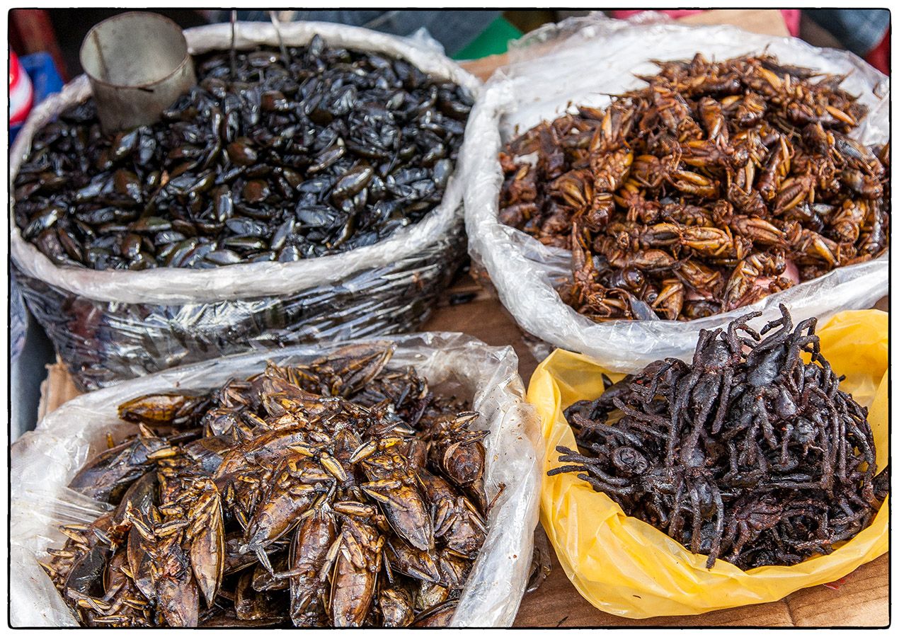 Phnom Penh MG 0484 Photo Alain Besnard