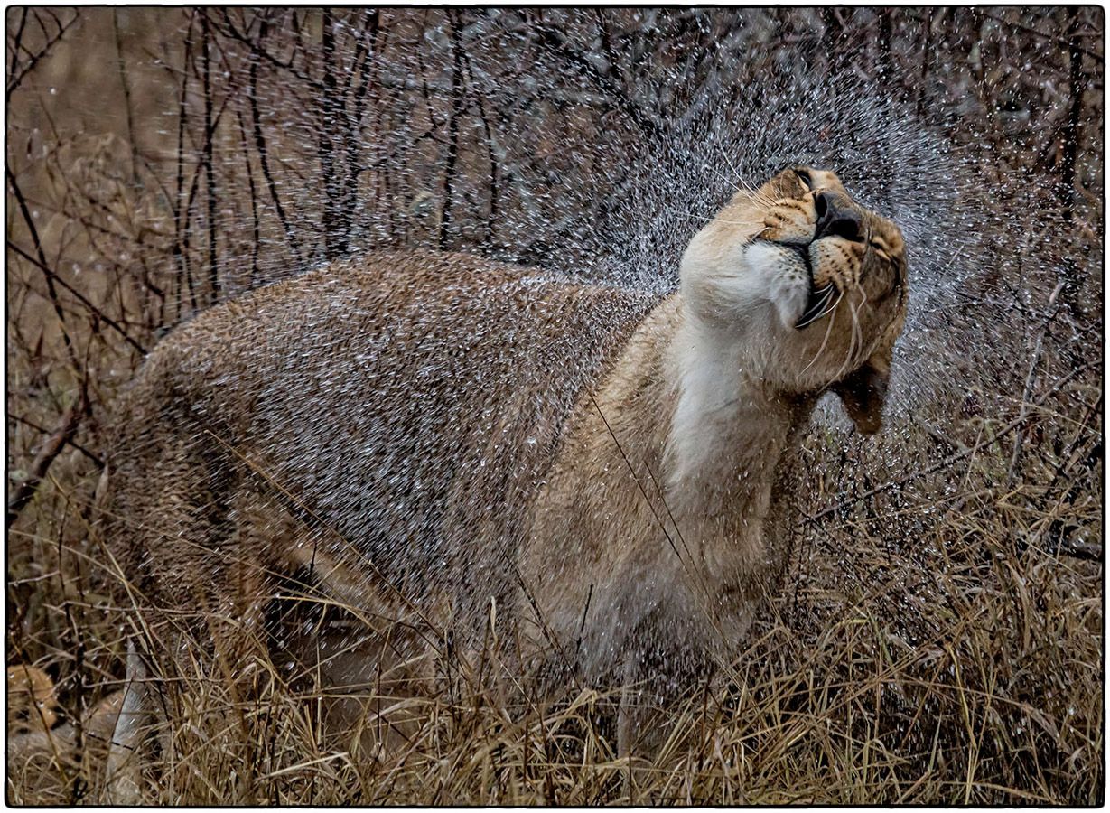 Après la pluie - Photo Alain Besnard