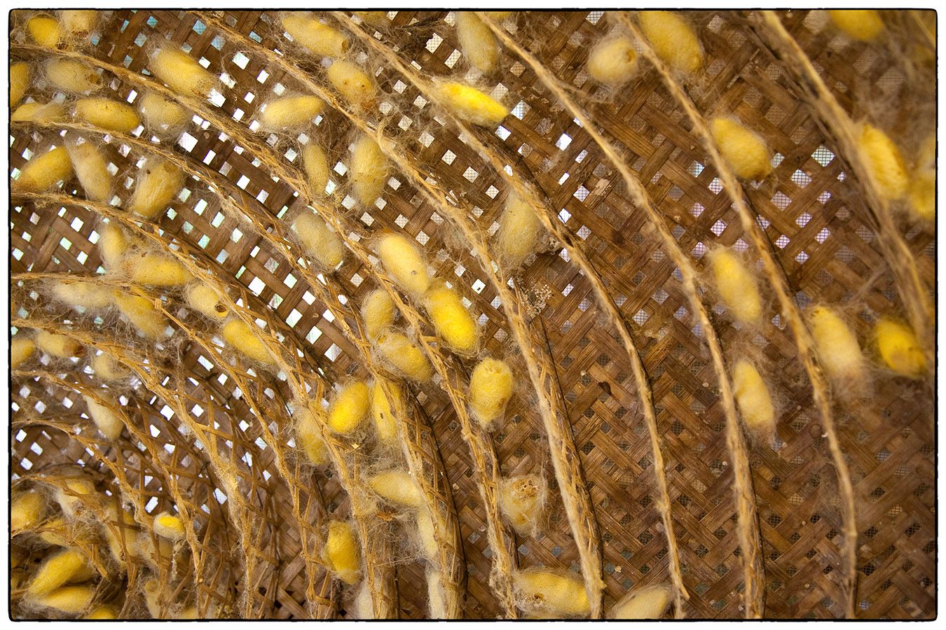 Siem Reap MG 0931 Photo Alain Besnard