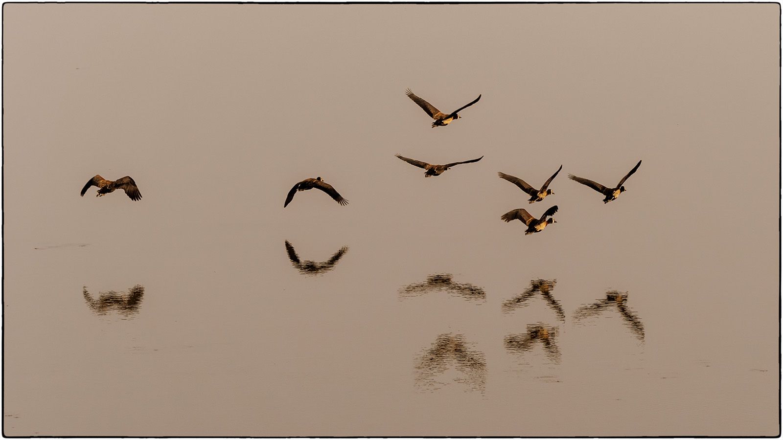 Envol - Photo Alain Besnard