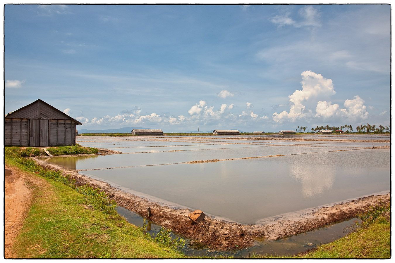 Fish Isle MG 0372 Photo Alain Besnard