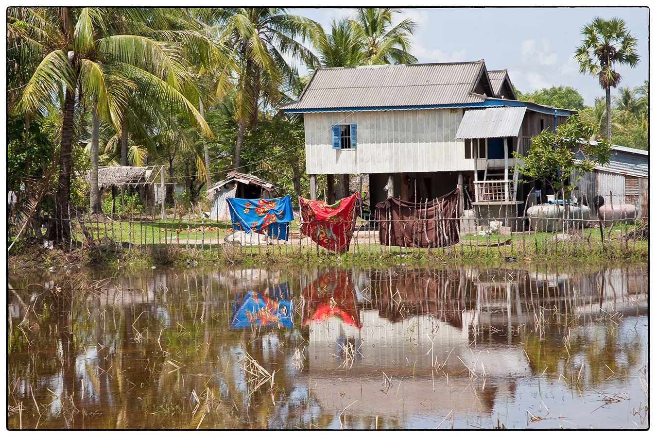 Fish Isle MG 0368 Photo Alain Besnard
