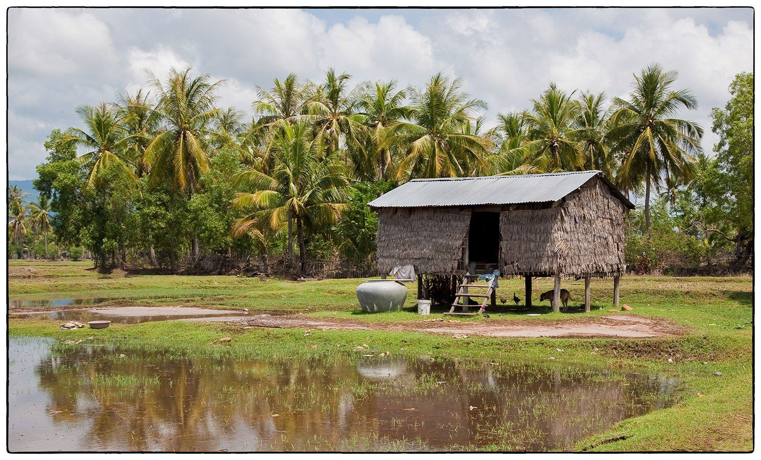 Fish Isle MG 0369 Photo Alain Besnard